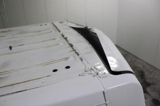 Nissan Interstar  picture 7