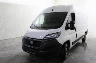 Auto da rottamare Fiat Ducato  2023/6