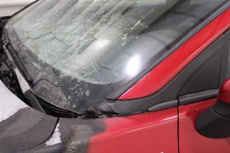 Ford Puma  picture 9