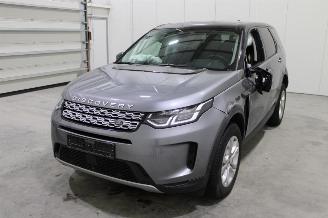 damaged passenger cars Land Rover Discovery Sport  2021/9