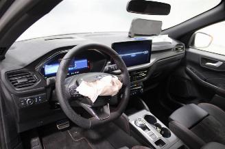 Ford Kuga  picture 6