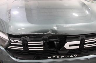 Dacia Sandero  picture 6