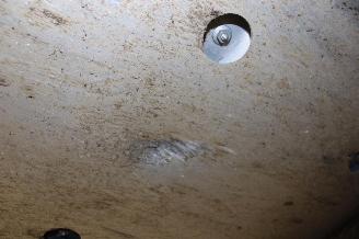 Volkswagen ID.7  picture 20