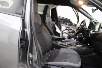 Nissan Juke  picture 11