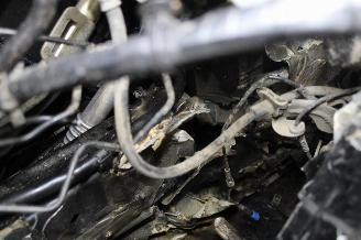 BMW 3-serie 320 picture 21