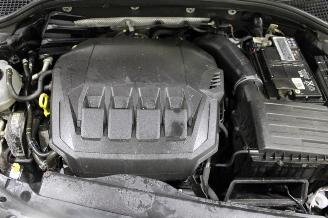 Skoda Octavia  picture 14