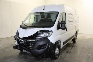 Autoverwertung Opel Movano  2023/6