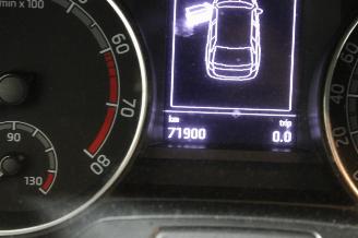 Skoda Fabia  picture 13