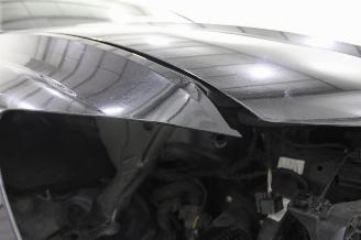 Audi RS Q8 picture 23