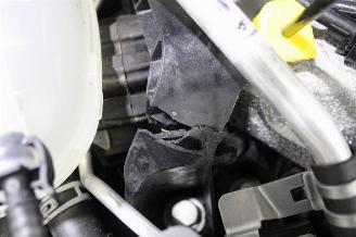 Renault Clio  picture 21