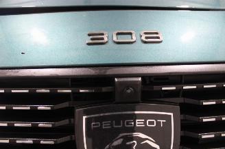 Peugeot 308  picture 25