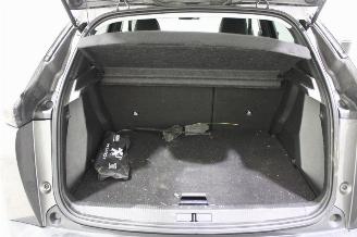 Peugeot 2008  picture 20