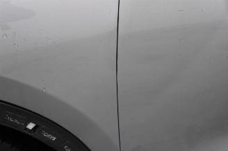 Ford Kuga  picture 25