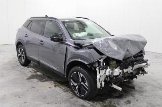 Peugeot 2008  picture 2