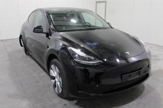 Tesla Model Y  picture 2