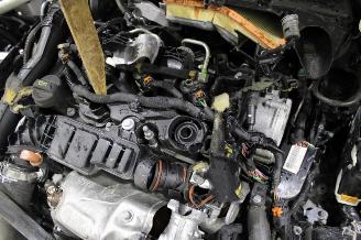 Peugeot 308  picture 24