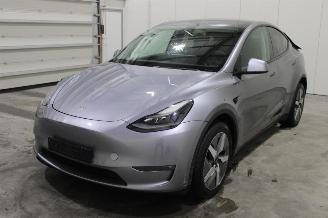 Tesla Model Y  picture 1