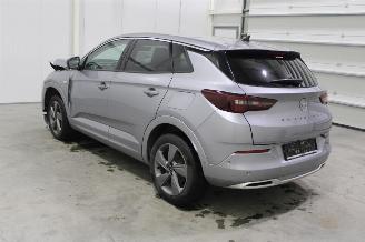 Opel Grandland X picture 4