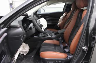 Mazda CX-30  picture 9