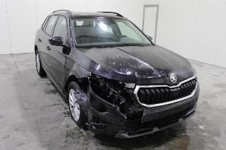 Skoda Kamiq  picture 2