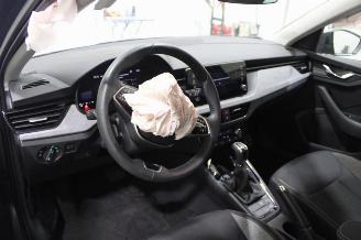 Skoda Scala  picture 10