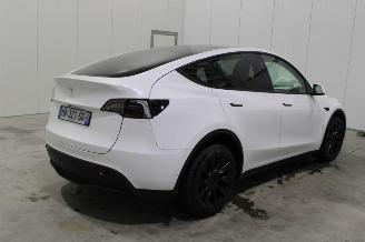 Tesla Model Y  picture 3