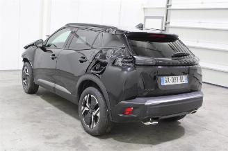 Peugeot 2008  picture 4