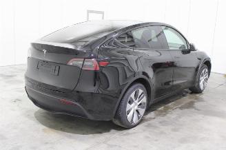 Tesla Model Y  picture 3