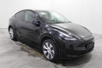 Tesla Model Y  picture 2