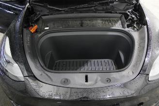 Tesla Model Y  picture 16