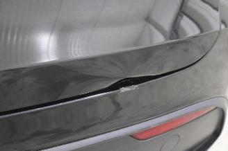 Tesla Model Y  picture 9