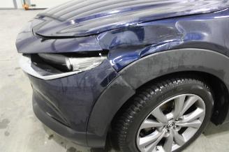 Mazda CX-30  picture 6