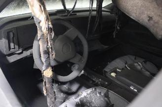 Renault Scenic  picture 8