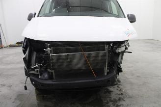 Volkswagen Transporter T6 picture 5