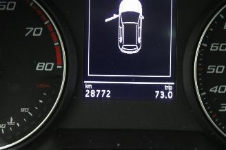 Seat Arona  picture 12