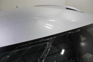 Skoda Kodiaq  picture 8