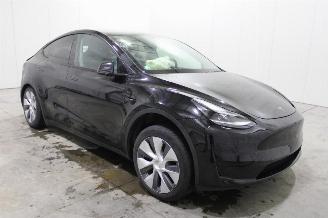 Tesla Model Y  picture 2