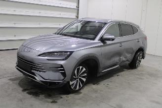 Unfallwagen BYD Seal U  2025/5