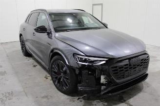 Audi Q8 e-tron picture 2