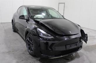 Tesla Model Y  picture 2