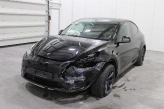 Unfallwagen Tesla Model Y  2024/12