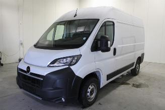  Opel Movano  2025/2