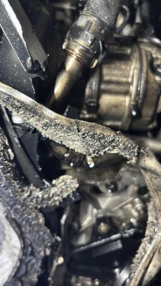 Mercedes Sprinter  picture 17