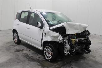 Fiat Panda  picture 2