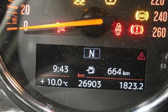 Mini Cooper  picture 12