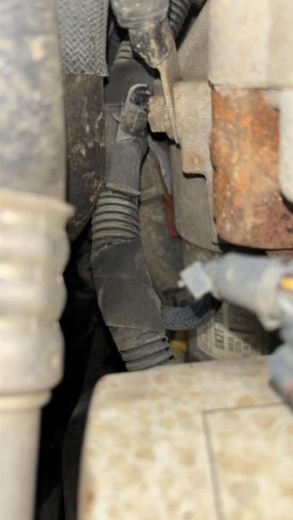 Ford Transit  picture 24