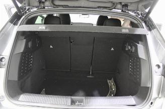 Renault Scenic  picture 19