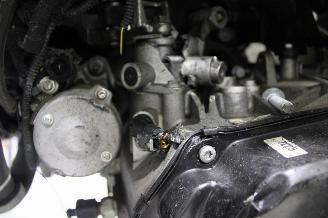 Seat Ibiza  picture 17