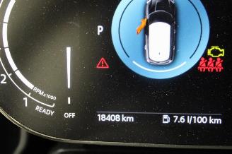 Mini Cooper _COUNTRYMAN picture 14