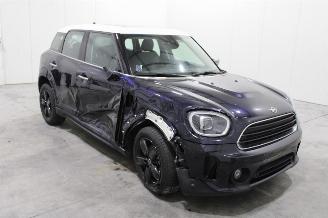 Mini Cooper _COUNTRYMAN picture 2